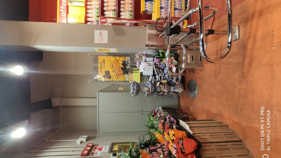 SPAZIO ESPOSITIVO 1 